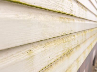 Hidden Dangers of Ignoring Mildew on Your Home's Exterior