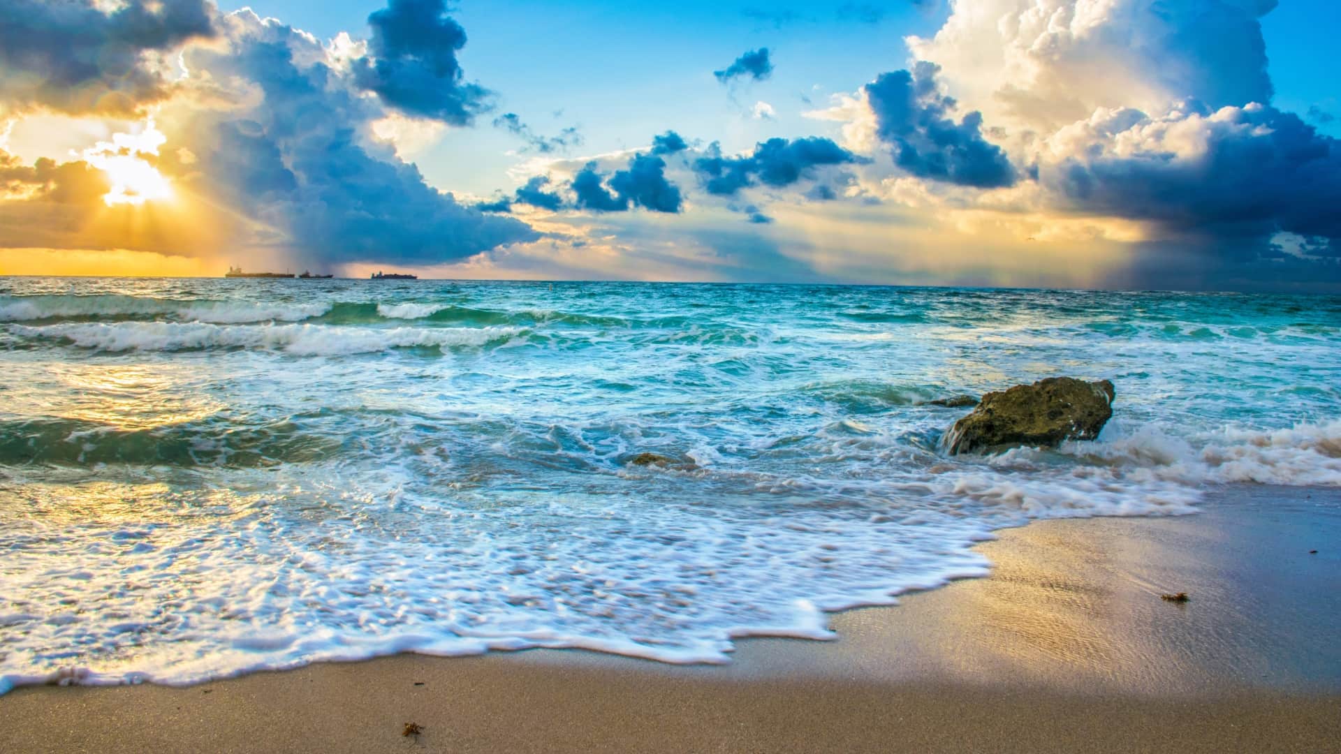Coastal Banner