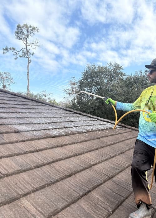 Services in Palm Beach County