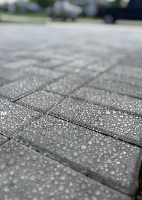 Paver Sealing and Restoration Palm Beach County