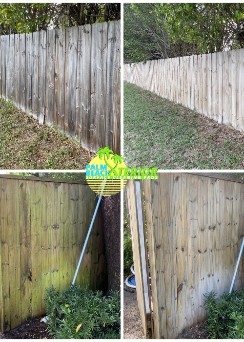 Fence Cleaning