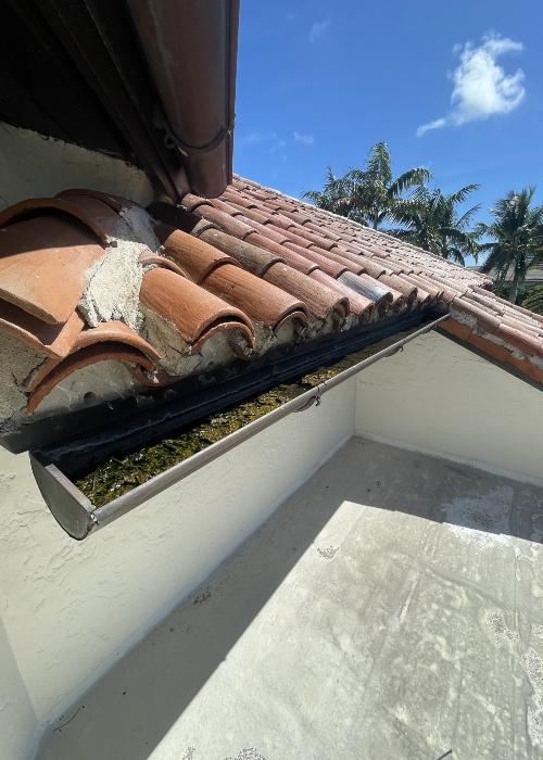 Gutter Cleaning & Brightening