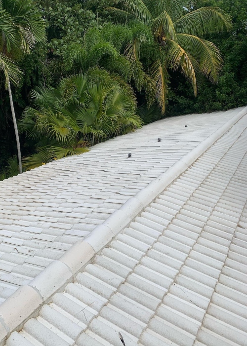 Roof Cleaning