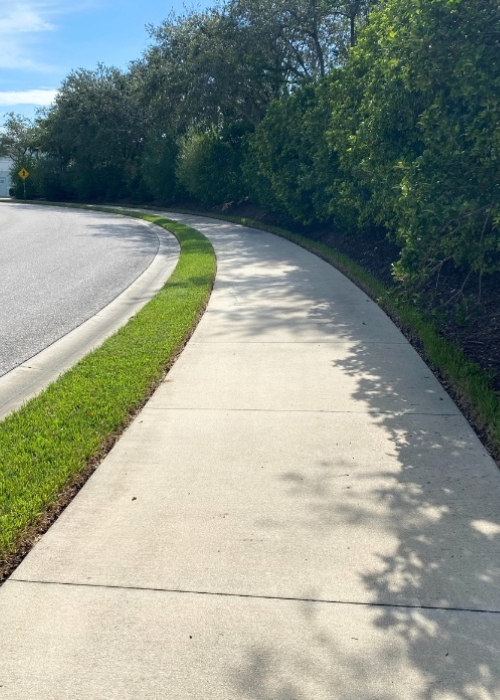 Sidewalk & Walkway Cleaning