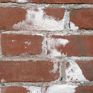 Efflorescence Stain Removal Service