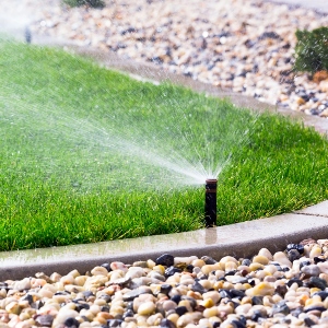 Irrigation Stain Removal Service